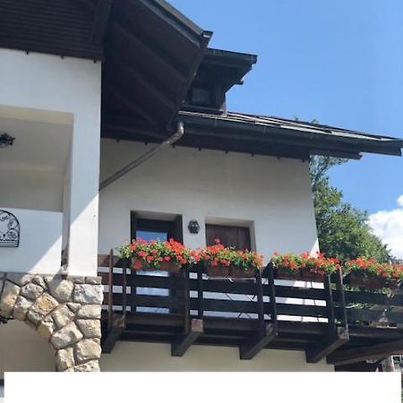 Apartament La Casa Di Monte Ricco Pieve di Cadore Zewnętrze zdjęcie