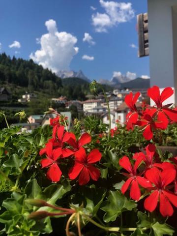 Apartament La Casa Di Monte Ricco Pieve di Cadore Zewnętrze zdjęcie