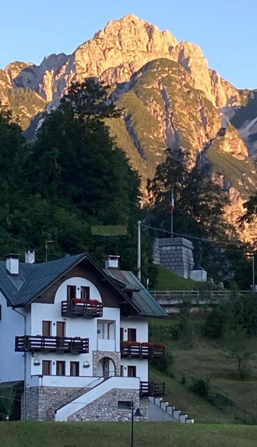 Apartament La Casa Di Monte Ricco Pieve di Cadore Zewnętrze zdjęcie