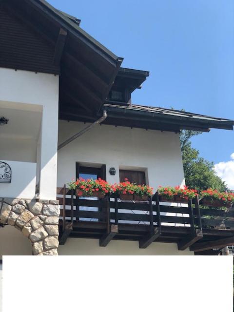 Apartament La Casa Di Monte Ricco Pieve di Cadore Zewnętrze zdjęcie