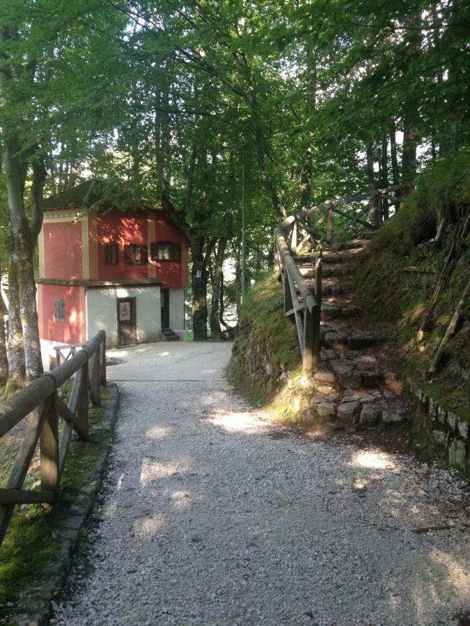 Apartament La Casa Di Monte Ricco Pieve di Cadore Zewnętrze zdjęcie